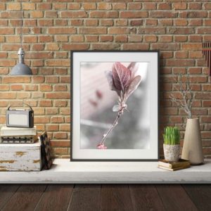 BRANCHED - blossoming nature photo that add a simple elegance bringing the outside in