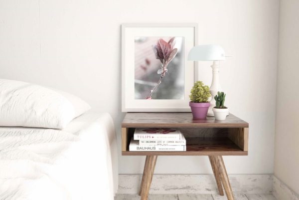 BRANCHED - blossoming nature photo that add a simple elegance bringing the outside in - Image 2