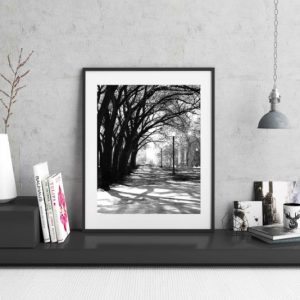 BRANCHES - tree artwork black and white living room or office artwork b&w art