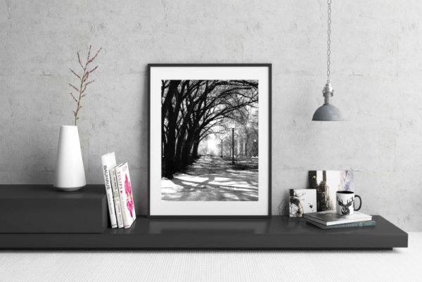 BRANCHES - tree artwork black and white living room or office artwork b&w art