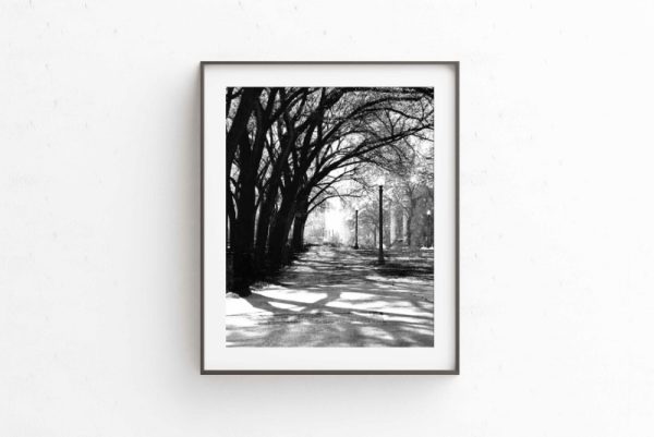 GOING - Image 2