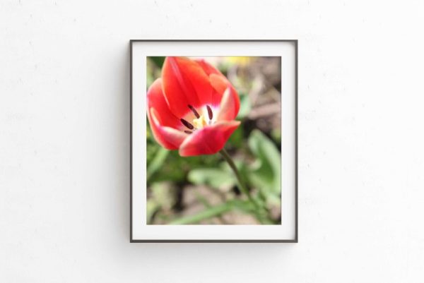 BUDDING - Image 2