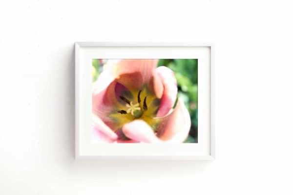 DELICATE - Image 2