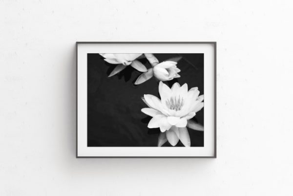 DELIGHTFUL - Image 2