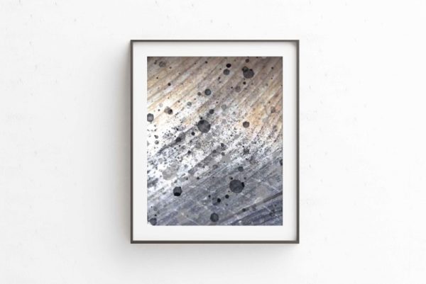 DIVINED - Image 2