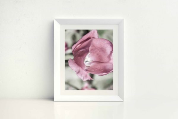 EXUBURENCE - Image 2