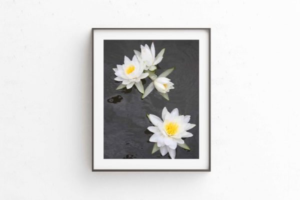 FEELING LOVED - Image 2