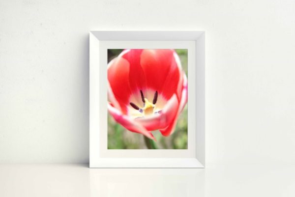 FLEURISH - Image 2