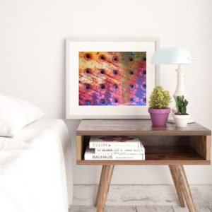 VIBRANCY