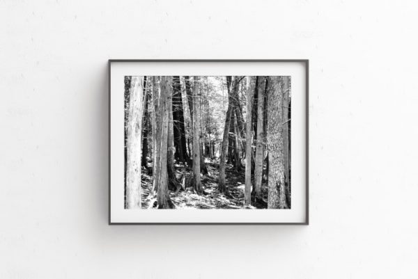 LOST - Image 2
