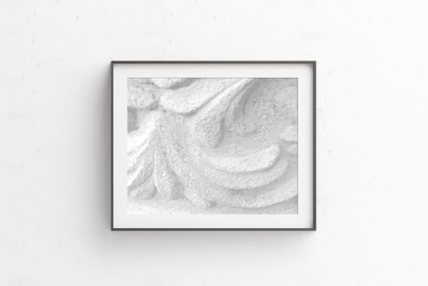 WHITE COTTON - Image 2
