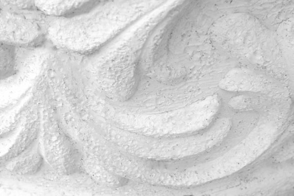 WHITE COTTON - Image 3