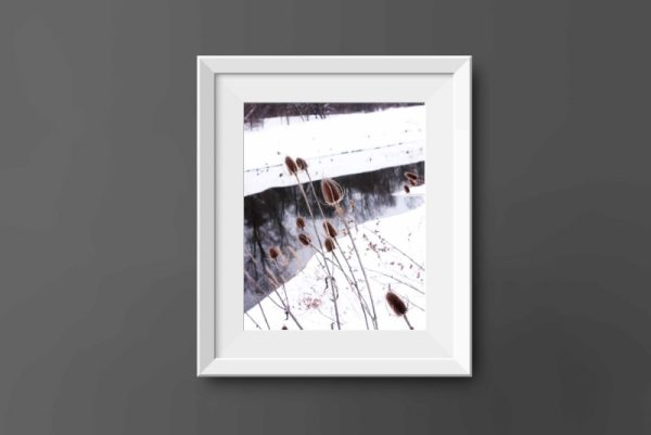 WINTER - Image 2