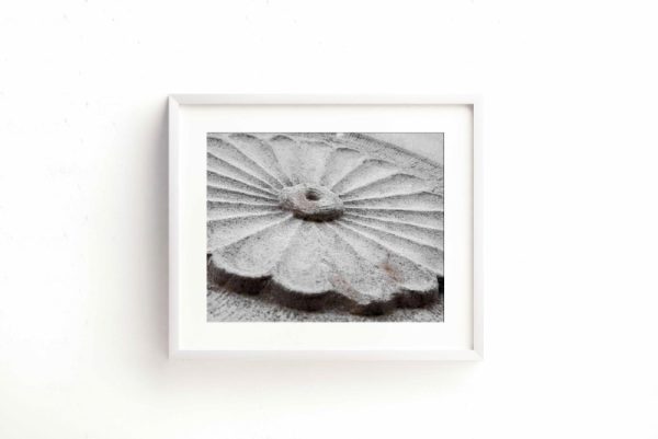 PETALLS - Image 2