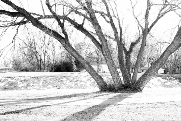 REACH - Image 3