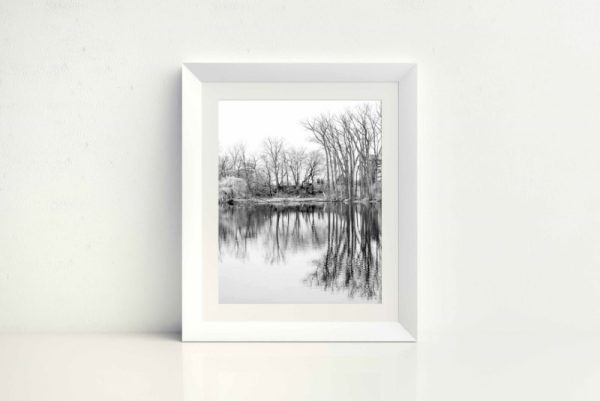 REFLECTION - Image 2