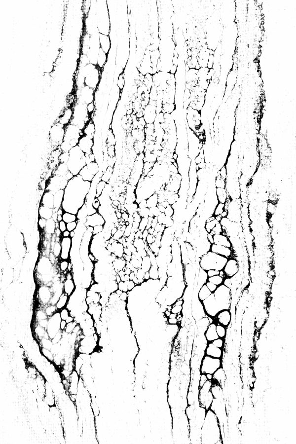 EXTREME - Image 3