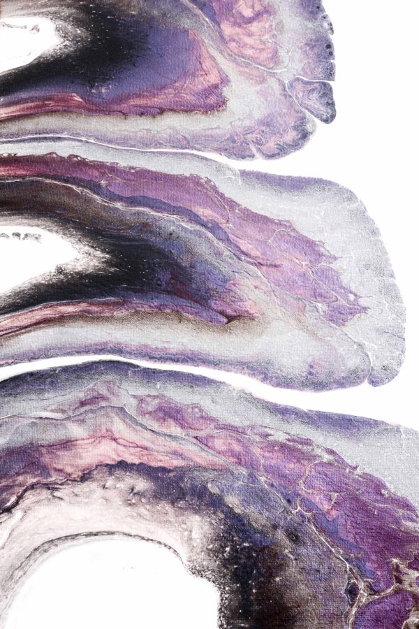 STIMULATING - Image 3